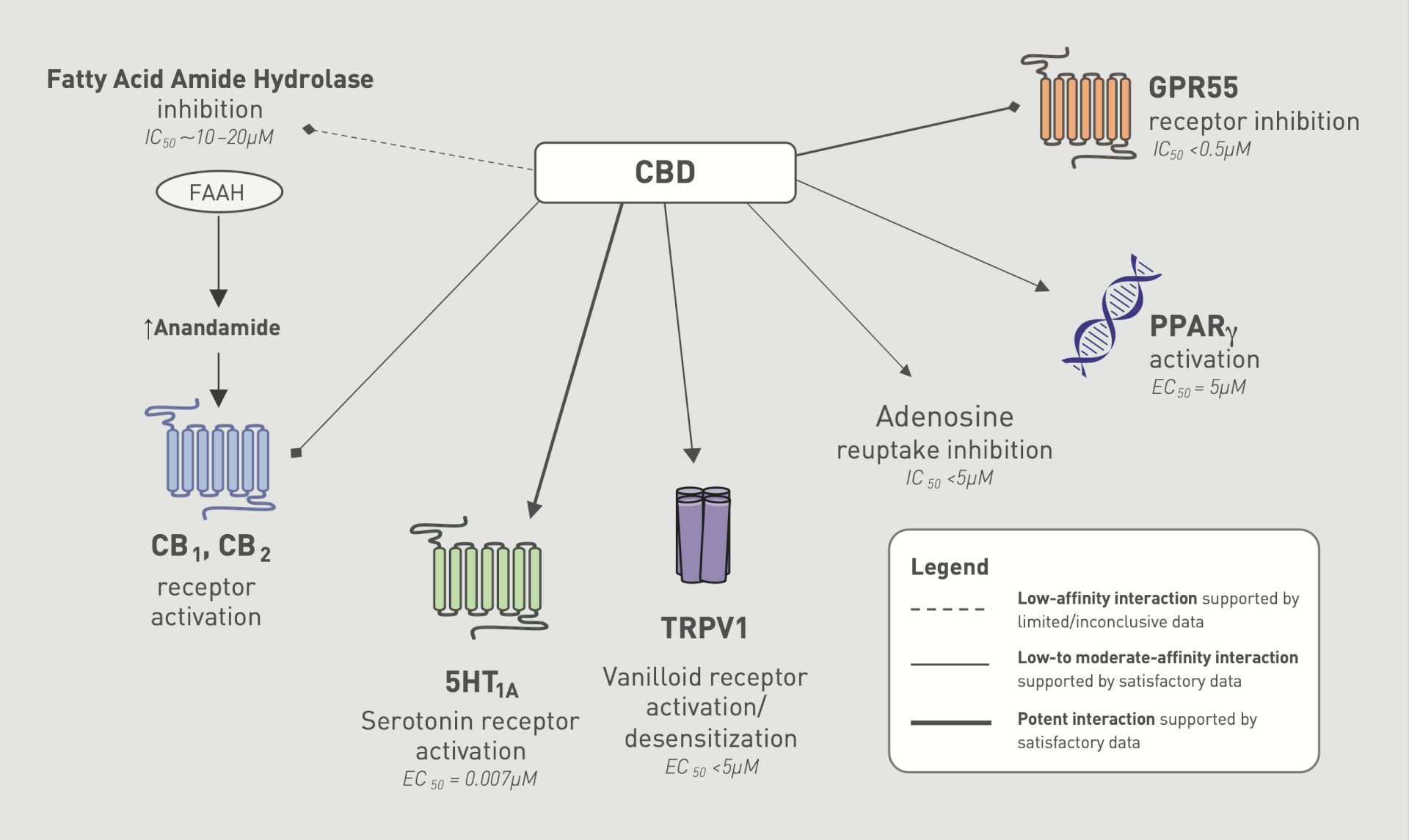 CBD Mechanism of Action